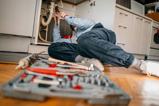 Best Commercial Plumbing Services  in Beresford, SD